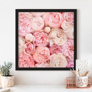 Poster encadré - Roses Rosé Coral Shabby