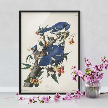 Poster encadré - Vintage Board Blue Jays