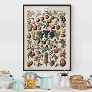 Poster encadré - Vintage Board Fruits