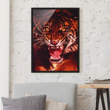 Poster encadré - Wild Tiger