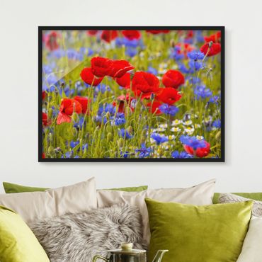 Poster encadré - Summer Meadow With Poppies And Cornflowers