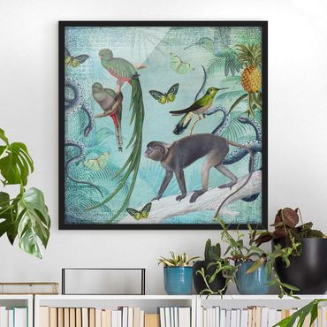 Poster encadré - Colonial Style Collage - Monkeys And Birds Of Paradise