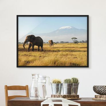 Poster encadré - Elephants In Front Of The Kilimanjaro In Kenya