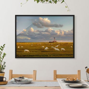 Poster encadré - North Sea Lighthouse With Flock Of Sheep