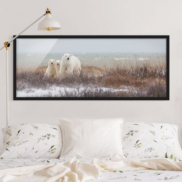 Poster encadré - Polar Bear And Her Cubs