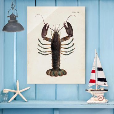 Tableau en verre - Vintage Illustration Lobster