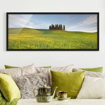 Poster encadré - Green Field In Tuscany