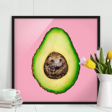 Poster encadré - Avocado With Hedgehog