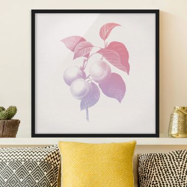 Poster encadré - Modern Vintage Botanik Peach Light Pink Violet