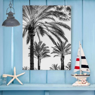 Tableau en verre - Palm Trees At Sunset Black And White
