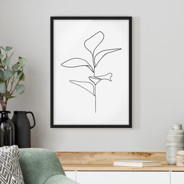 Poster encadré - Line Art Plant Leaves Black And White