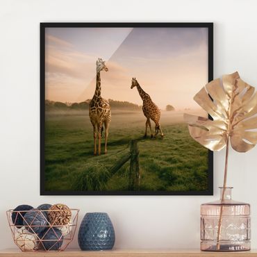 Poster encadré - Surreal Giraffes