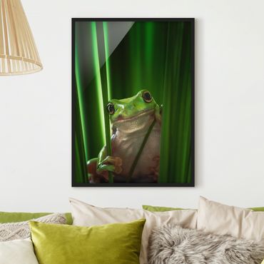 Poster encadré - Merry Frog