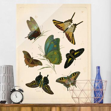 Tableau en verre - Vintage Illustration Exotic Butterflies