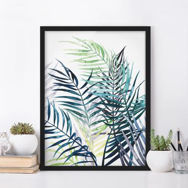 Poster encadré - Exotic Foliage - Palme