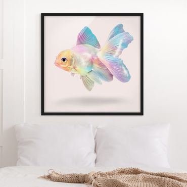 Poster encadré - Fish In Pastel