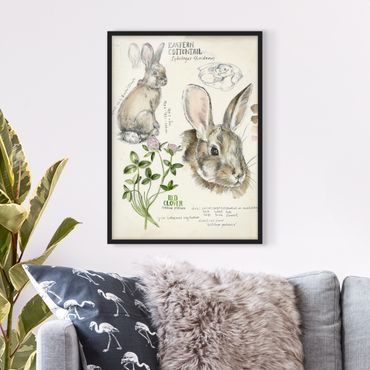 Poster encadré - Wilderness Journal - Rabbit