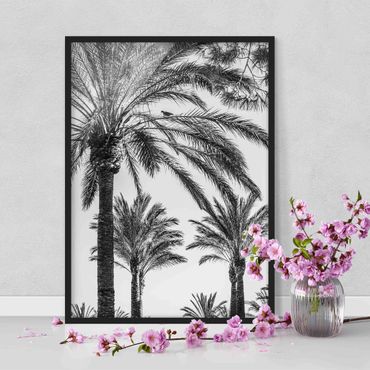Poster encadré - Palm Trees At Sunset Black And White