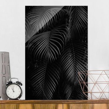Tableau en verre - Black Palm Fronds