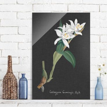 Tableau en verre - White Orchid On Linen II