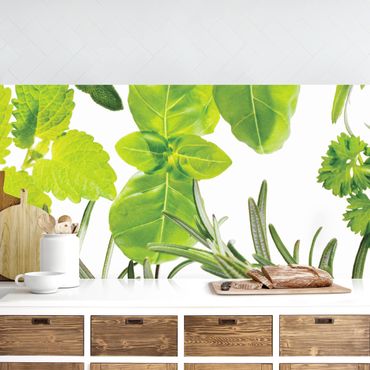 Revêtement mural cuisine - Different Herbs