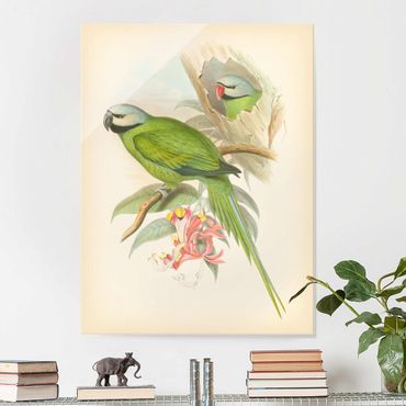 Tableau en verre - Vintage Illustration Tropical Birds II