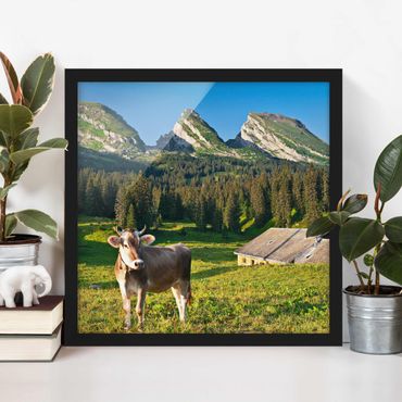 Poster encadré - Swiss Alpine Meadow With Cow
