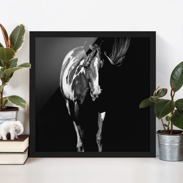 Poster encadré - Horse In The Dark