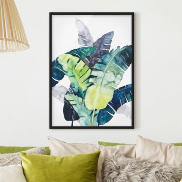 Poster encadré - Exotic Foliage - Banana