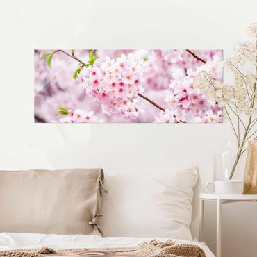 Tableau en verre - Japanese Cherry Blossoms