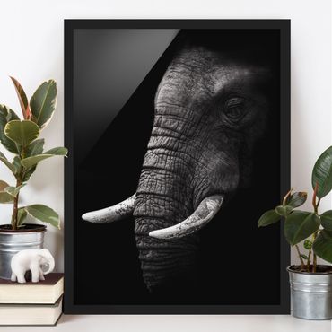 Poster encadré - Dark Elephant Portrait