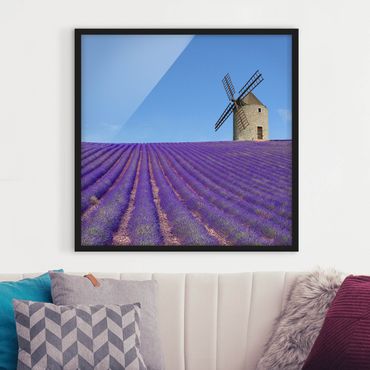 Poster encadré - Lavender Scent In The Provence