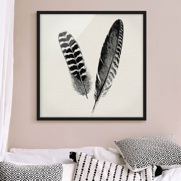 Poster encadré - Two Feathers - Drawing