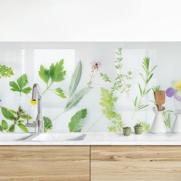 Revêtement mural cuisine - Herbs And Flowers II
