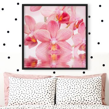 Poster encadré - Light Pink Orchid On Water