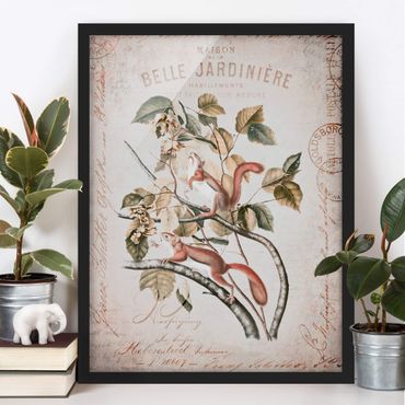 Poster encadré - Shabby Chic Collage - Squirrel