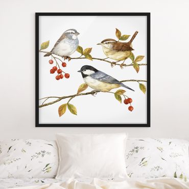 Poster encadré - Birds And Berries - Tits