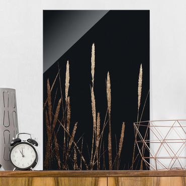 Tableau en verre - Graphical Plant World - Golden Reed