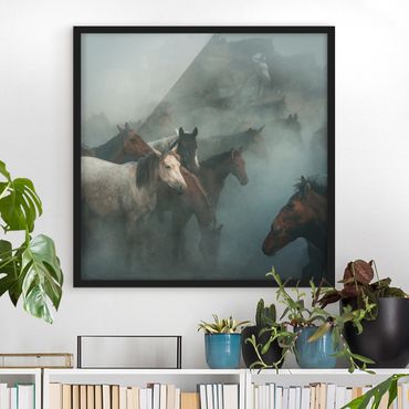 Poster encadré - Wild Horses
