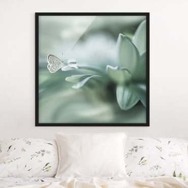 Poster encadré - Butterfly And Dew Drops In Pastel Green