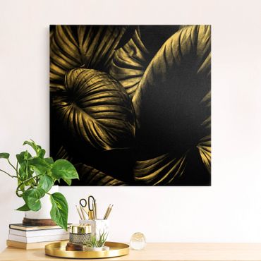 Tableau sur toile or - Black And White Botany Hosta