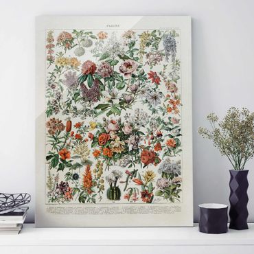Tableau en verre - Vintage Board Flowers II