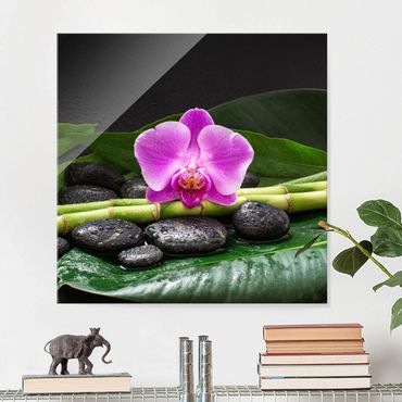 Tableau en verre - Green Bamboo With Orchid Flower
