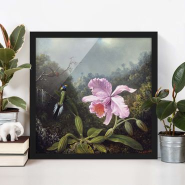 Poster encadré - Martin Johnson Heade - Still Life With An Orchid And A Pair Of Hummingbirds