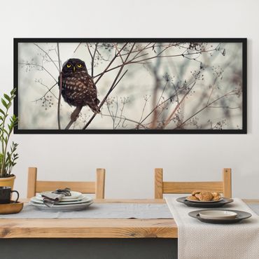 Poster encadré - Owl In The Winter