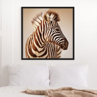 Poster encadré - Zebra Baby Portrait