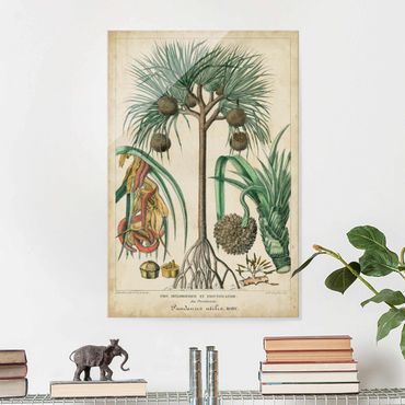 Tableau en verre - Vintage Board Exotic Palms I