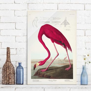 Tableau en verre - Vintage Board American Flamingo