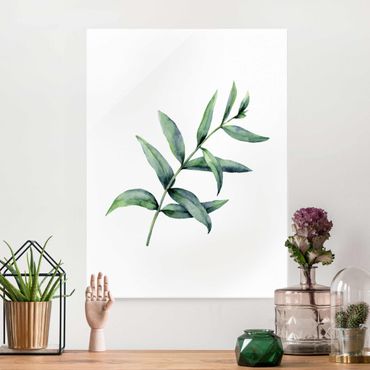 Glass print - Waterclolour Eucalyptus l