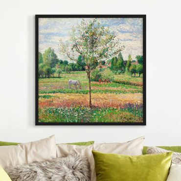 Poster encadré - Camille Pissarro - Meadow with Grey Horse, Eragny